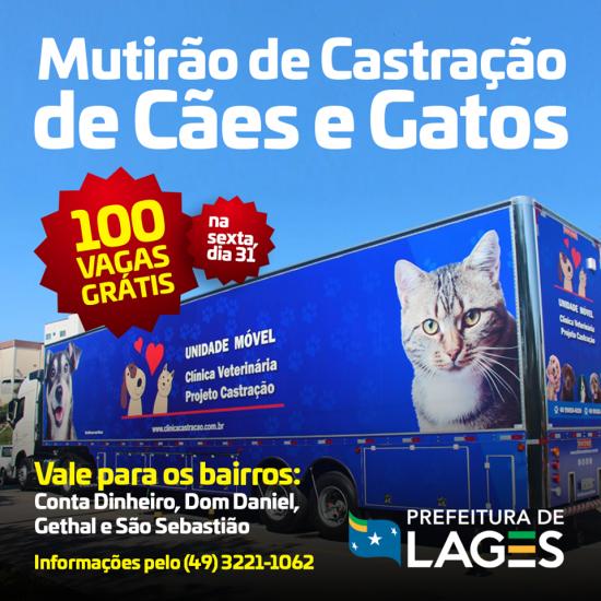 Prefeitura de Lages Comunidade Melhor proporciona Mutirão de Castração para 100 cães e gatos