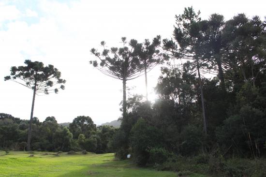 Prefeitura de Lages Seminário Lixo Orgânico Zero lançará Mês do Meio Ambiente em Lages