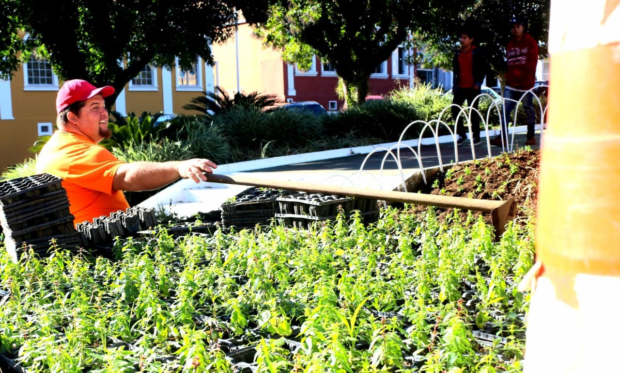 Prefeitura de Lages Horto das Flores produz 20 mil mudas na safrinha de inverno