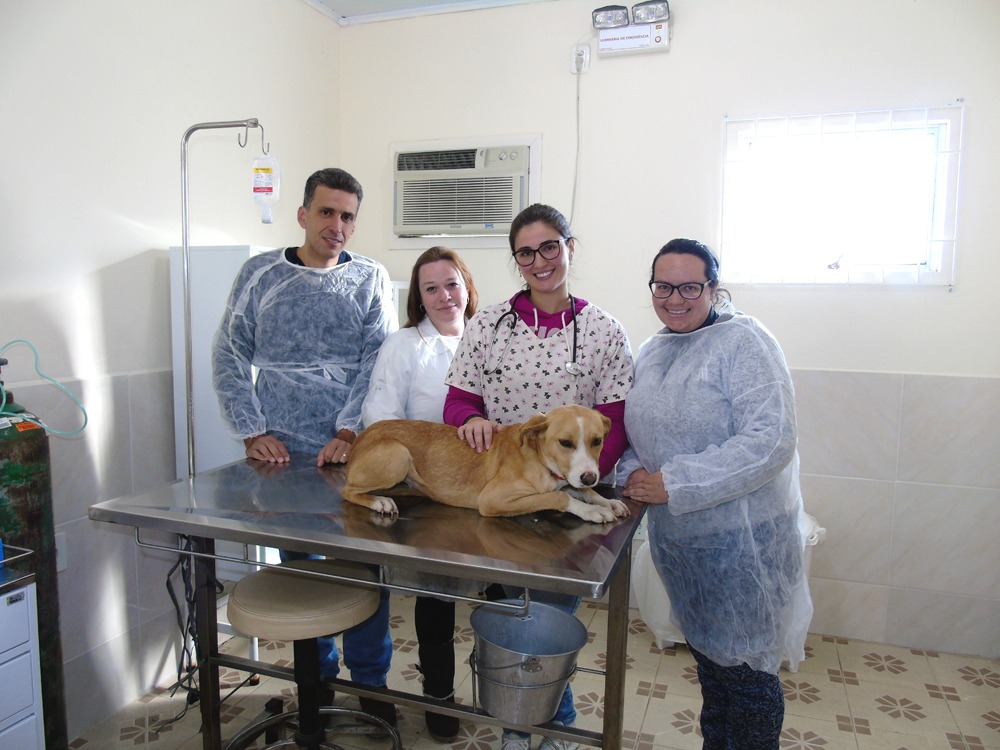 Prefeitura de Lages Prefeitura realiza mutirão de castração para animais da área rural