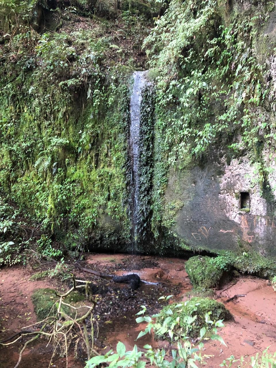 Prefeitura de Lages Mapa georreferenciado e aplicativo auxiliam profissionais do Meio Ambiente no acesso a maior cachoeira do Parque Natural 