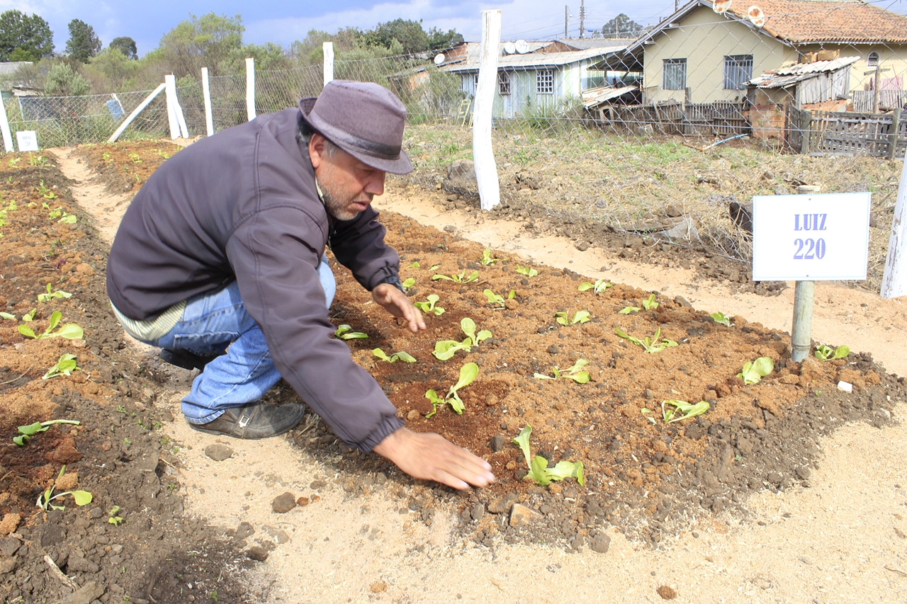 Prefeitura de Lages 43ª horta do Projeto Colheita Feliz será cultivada por 32 famílias no bairro Guarujá 