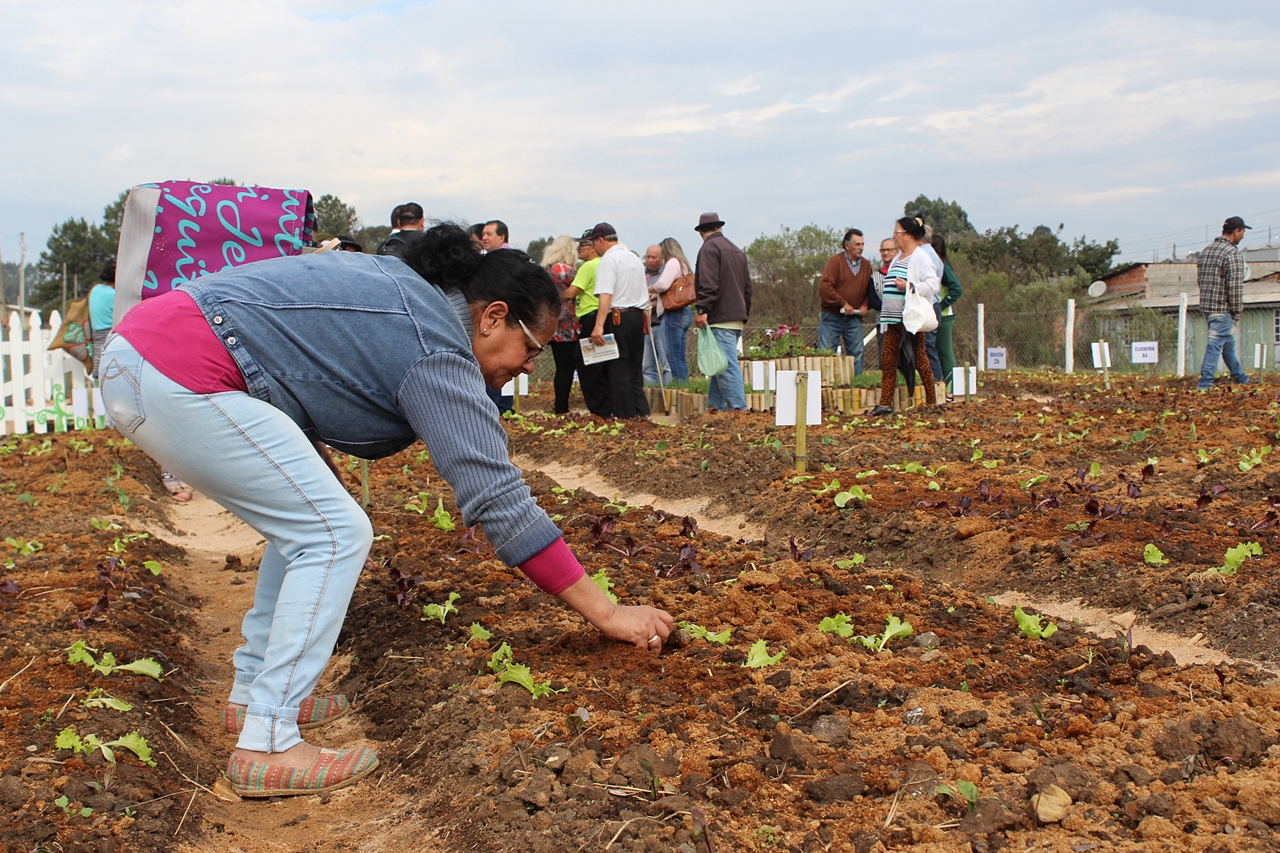 Prefeitura de Lages Prefeitura entregará, nesta quinta-feira, a 46ª Horta Comunitária do programa Colheita Feliz