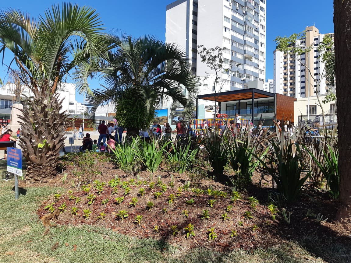 Prefeitura de Lages Prefeitura planta dezenove novas árvores na Praça João Costa