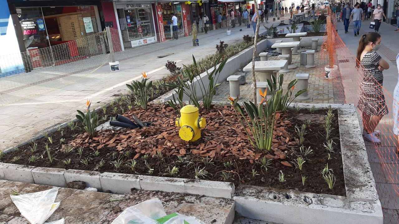 Prefeitura de Lages Paisagismo deixará o novo calçadão Túlio Fiúza de Carvalho ainda mais bonito