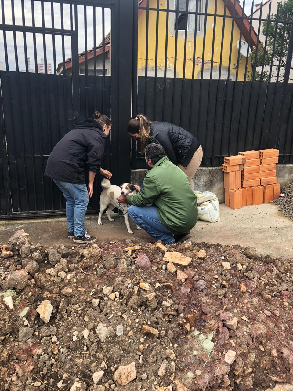 Prefeitura de Lages Prefeitura transporta nove cães de casa interditada e os põe em proteção e segurança em imóvel de sua tutora no Conta Dinheiro 