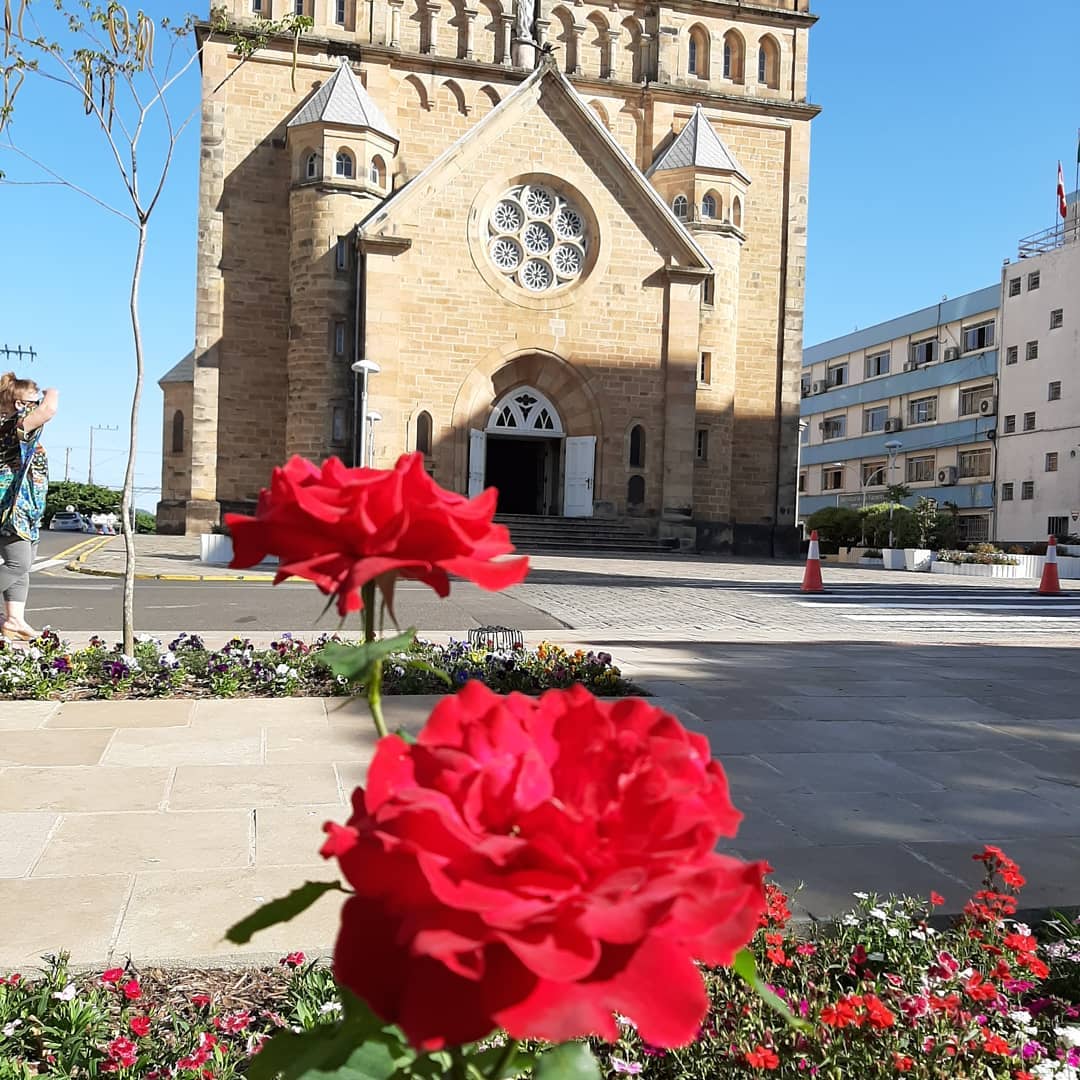 Prefeitura de Lages Mesmo na pandemia Prefeitura de Lages mantém o cultivo e plantio de flores nos espaços públicos