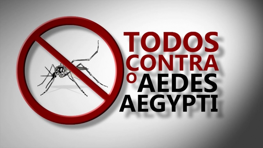 Prefeitura de Lages Secretaria Municipal da Saúde identifica foco do mosquito transmissor da Dengue em Lages