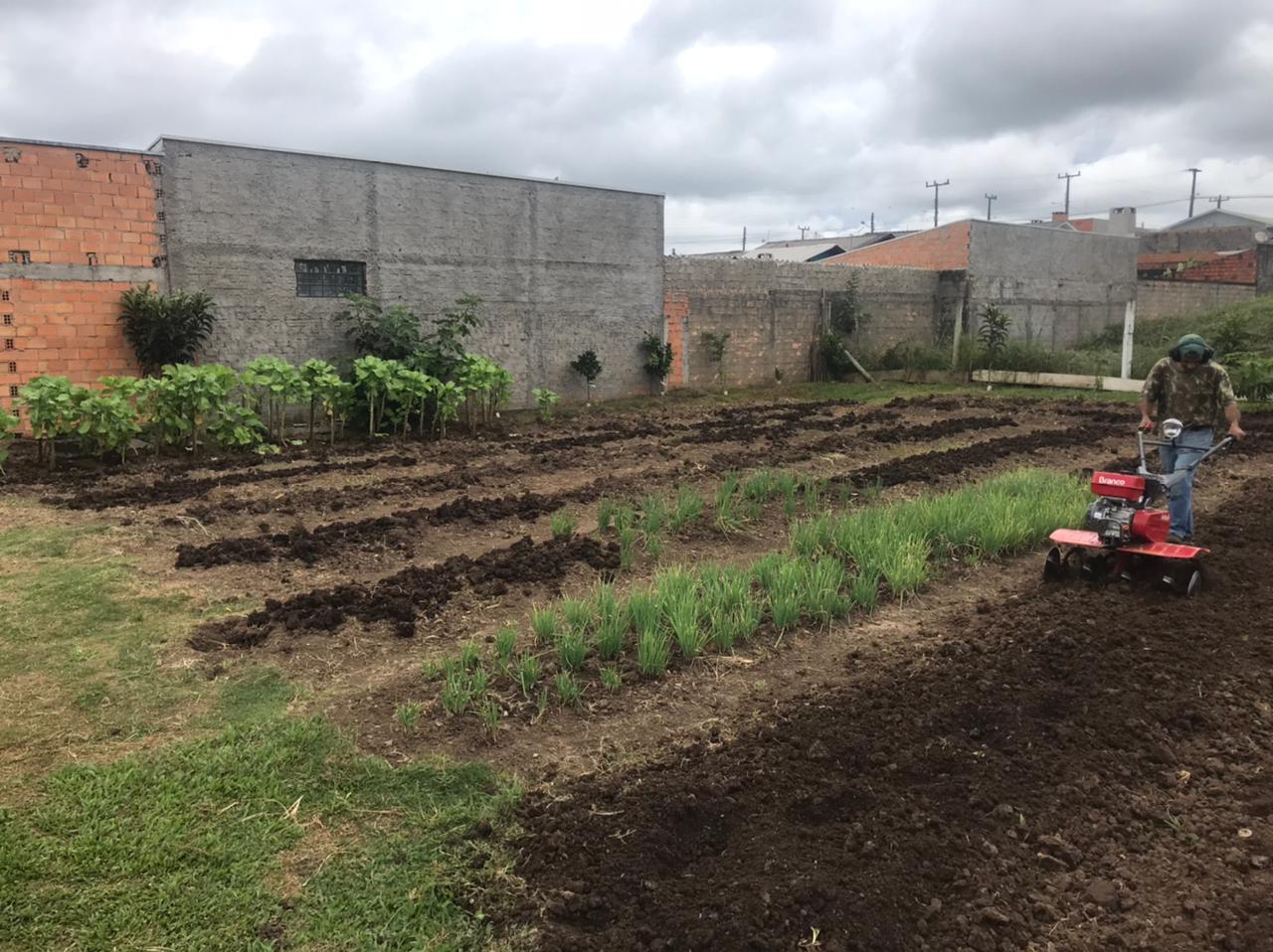 Prefeitura de Lages Horta da Associação Bom Samaritano produzirá hortaliças para compor cestas básicas