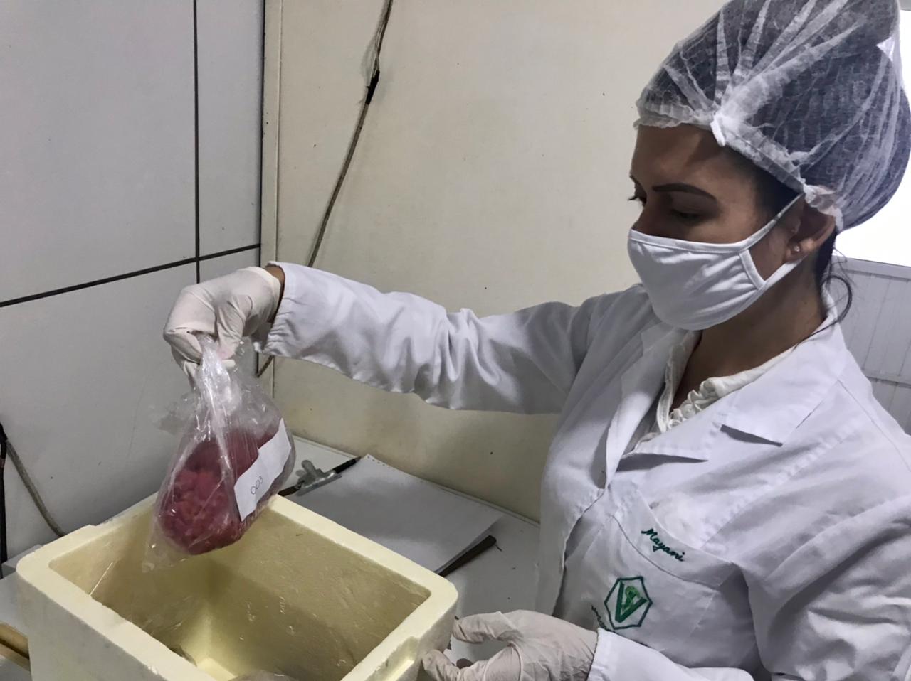 Prefeitura de Lages Serviço de Inspeção Municipal, vinculado à Secretaria da Agricultura e Pesca, analisa produtos de origem animal para fins de fiscalização e proteção à saúde do consumidor 