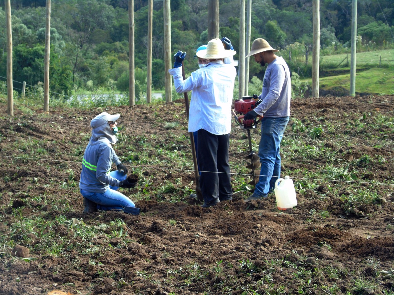 Prefeitura de Lages Secretaria da Agricultura respalda propriedade pioneira como Unidade de Referência Tecnológica de cultivo do lúpulo em Santa Catarina 