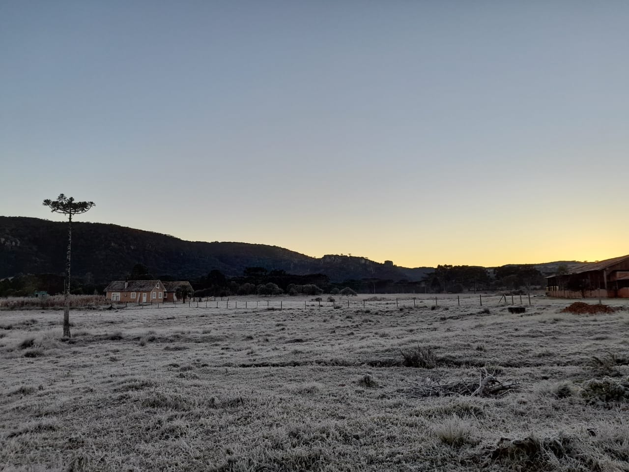 Prefeitura de Lages O deslumbramento do efeito do frio nas paisagens serranas no amanhecer mais gelado da Serra e do Brasil até agora, em 2021 