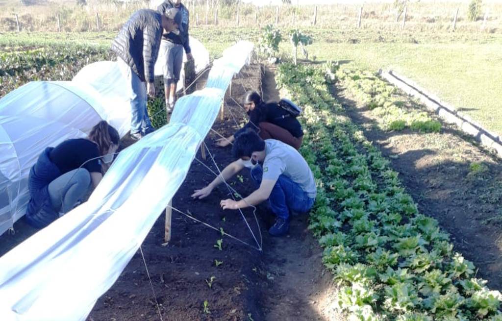 Prefeitura de Lages Agricultura e Meio Ambiente promovem oficina de capacitação para produção de mudas de hortaliças e temperos