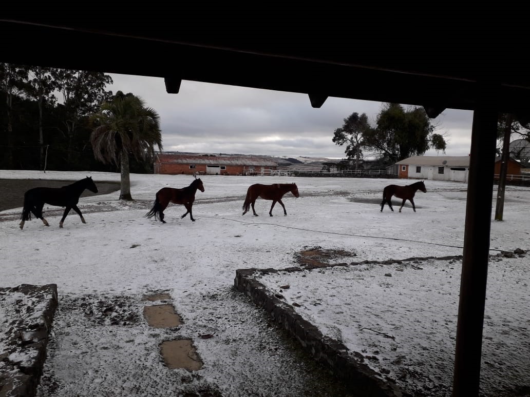 Prefeitura de Lages Neve deixa Lages branquinha e encanta moradores e turistas