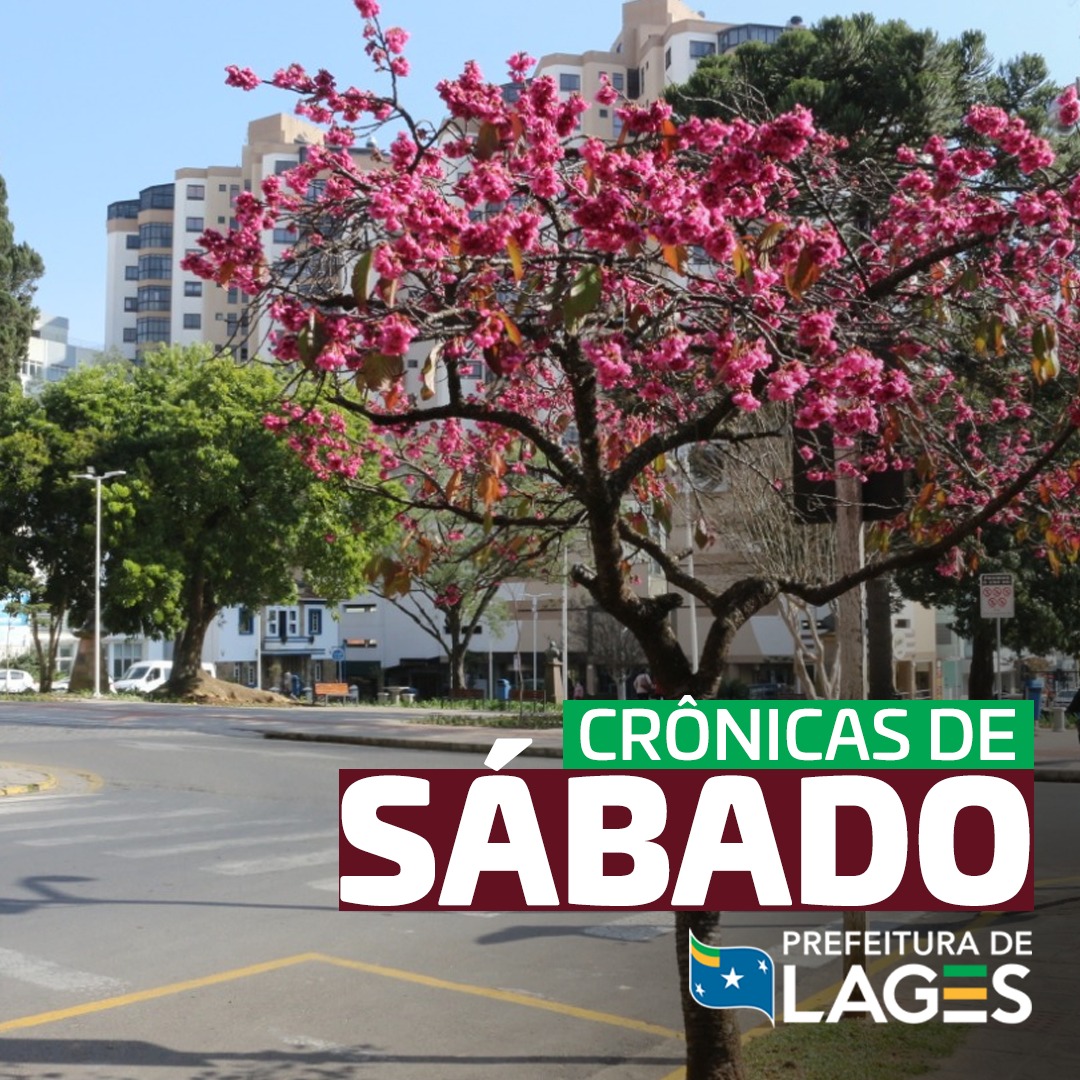 Prefeitura de Lages CRÔNICA DE SÁBADO: Lembranças de refeições na infância