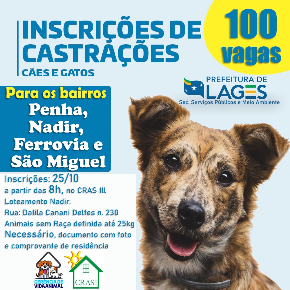 Prefeitura de Lages Prefeitura abrirá novas inscrições para castrações de cães e gatos