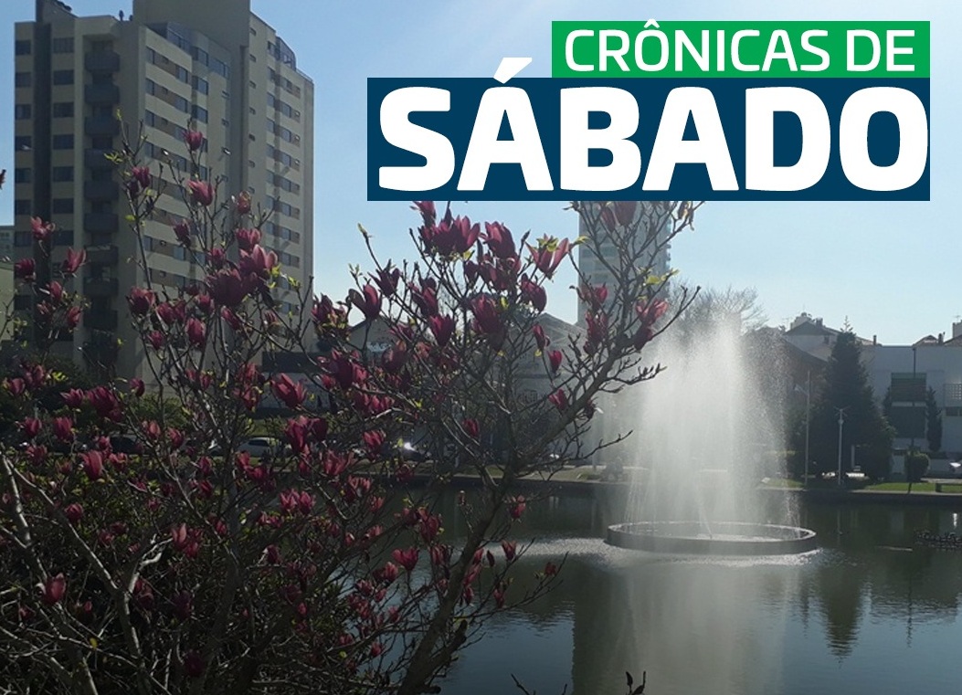 Prefeitura de Lages Crônica de Sábado: Distração