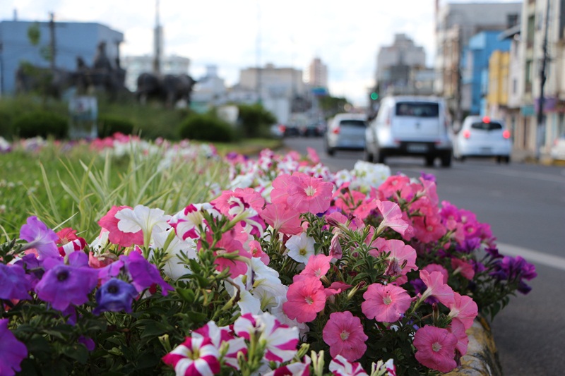 Prefeitura de Lages Lages fica mais bela com as flores da estação