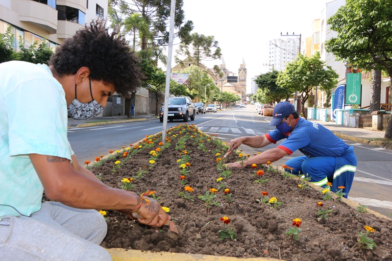 Prefeitura de Lages Prefeitura planta flores de verão em espaços públicos de Lages