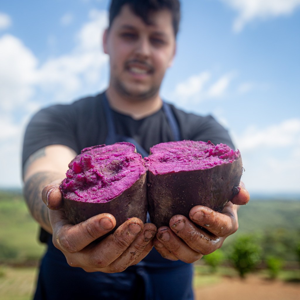 Prefeitura de Lages Do Solo à Mesa: Congresso Raízes, em Lages, irá reunir chefs consagrados e entusiastas da gastronomia