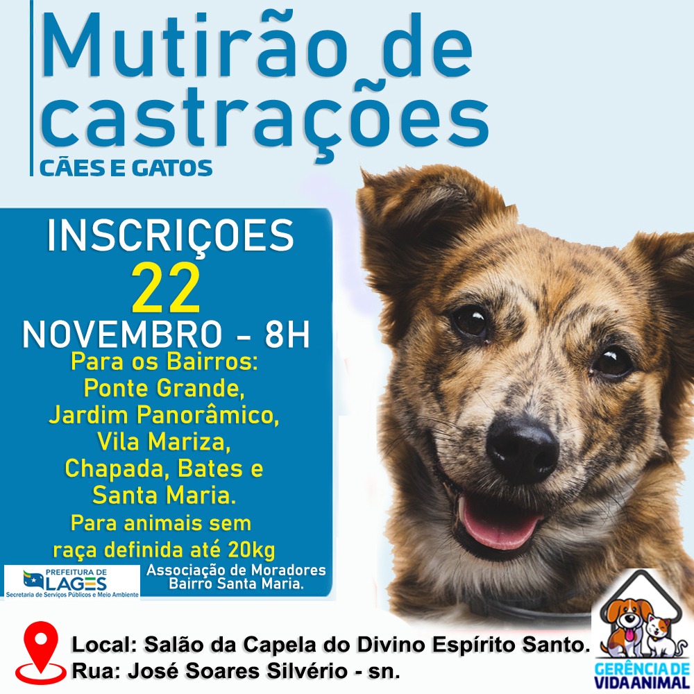 Prefeitura de Lages Seis bairros serão contemplados no dia 22 de novembro por inscrições para mutirão gratuito de castração de cães e gatos 