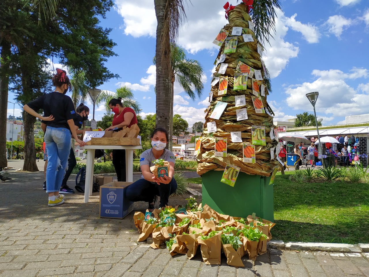 Prefeitura de Lages Árvore de Natal enfeitada de sementes orienta sobre a compostagem das sobras orgânicas das cozinhas dos domicílios