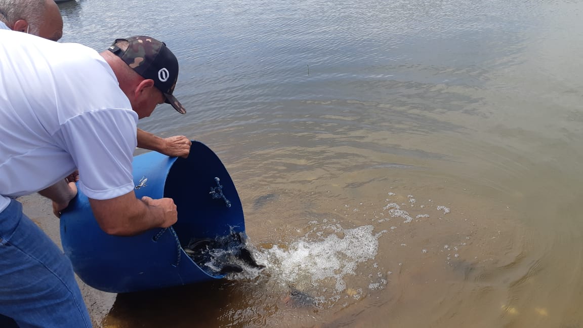 Prefeitura de Lages Secretaria da Agricultura e Pesca participa de ação de preservação ambiental no Salto Caveiras com a soltura de 1.730 alevinos