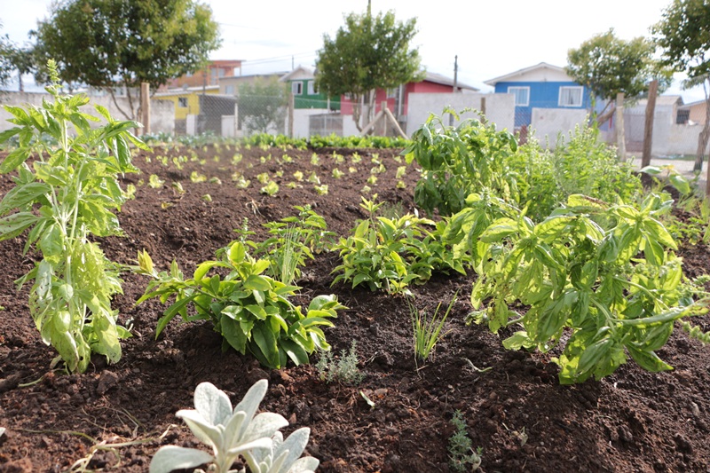 Prefeitura de Lages Secretaria da Agricultura e Pesca, da Prefeitura, entrega Horta Comunitária nos bairros Promorar e Bela Vista 