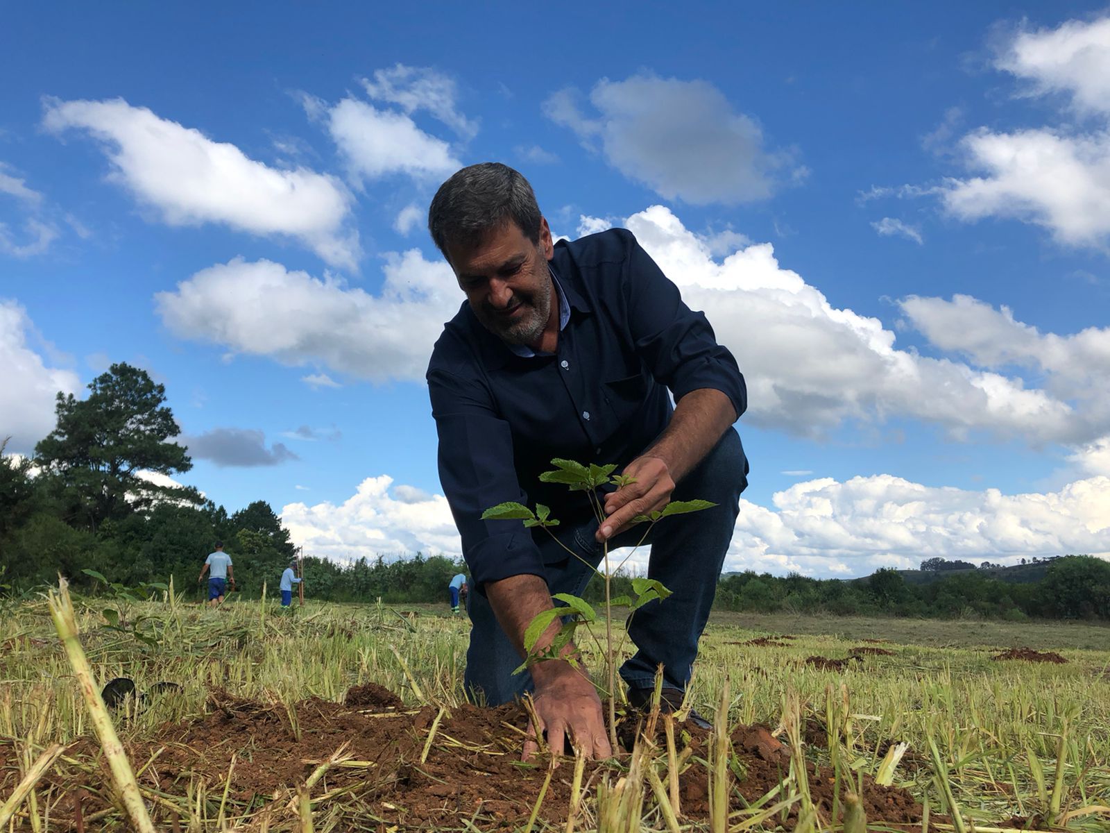 Prefeitura de Lages Secretaria de Serviços Públicos e Meio Ambiente inicia plantio de árvores em área recuperada do Morro Grande