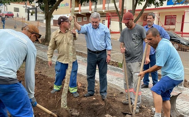 Prefeitura de Lages Prefeito Ceron acompanha plantio de árvores nas obras de revitalização do Parque Jonas Ramos (Tanque)