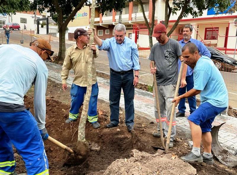 Prefeitura de Lages Blog da Prefa: Para cada árvore retirada, duas são plantadas no Tanque