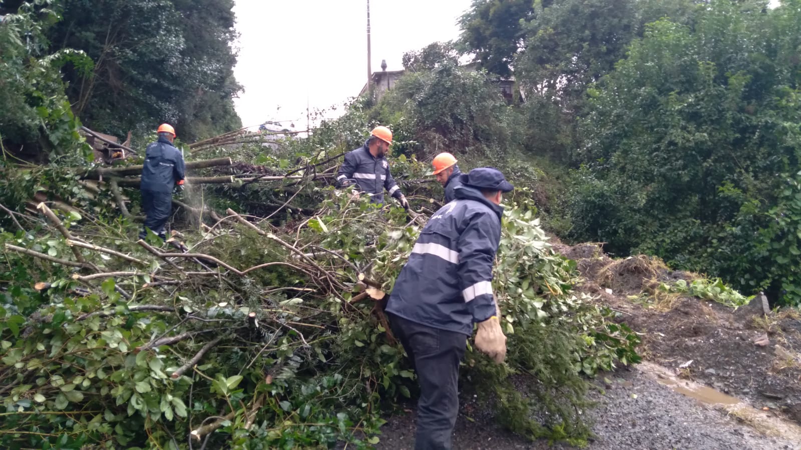 Prefeitura de Lages Chuvas em Lages: Defesa Civil Municipal atende 45 ocorrências nas últimas 24 horas