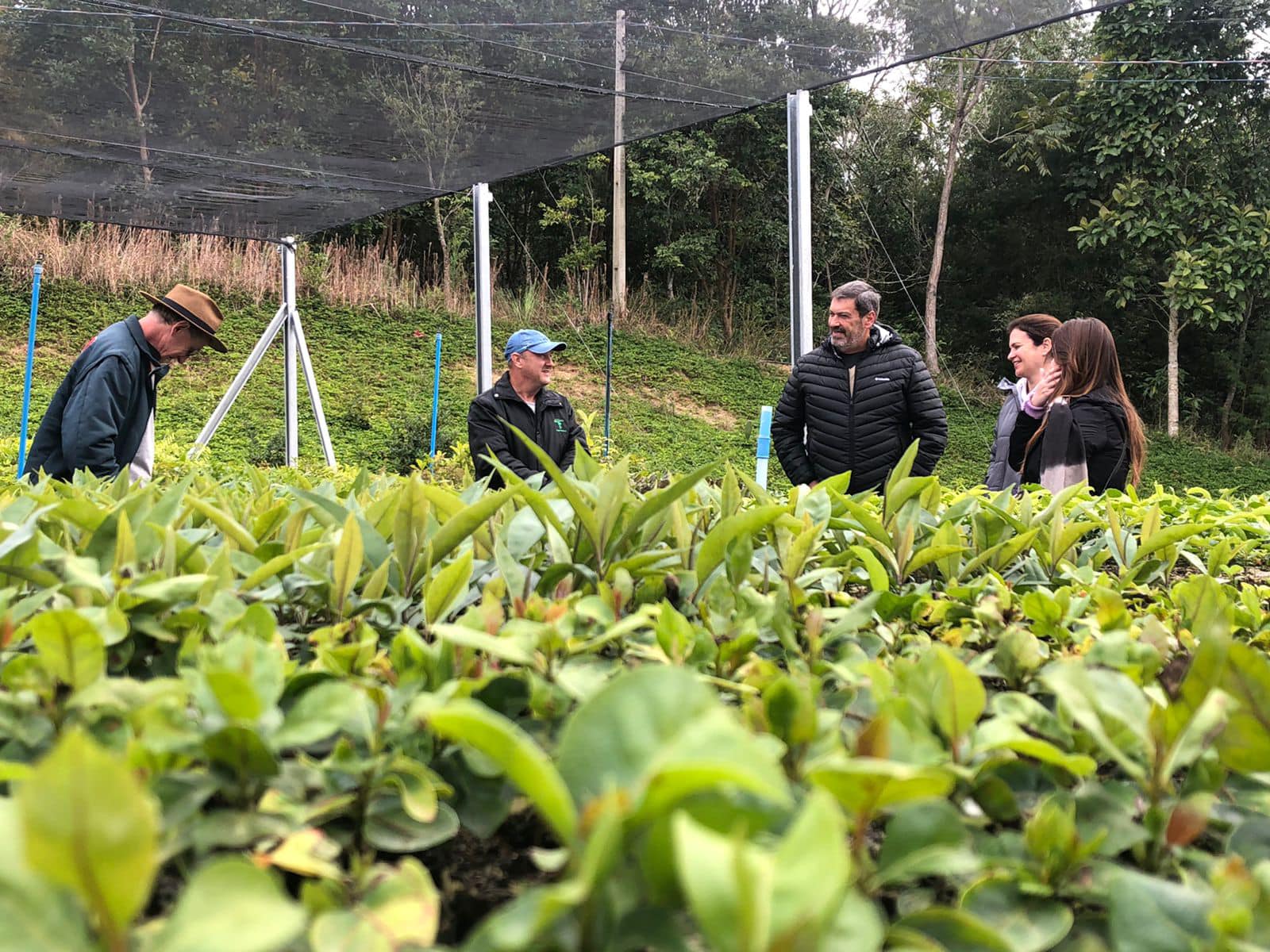 Prefeitura de Lages Equipe da Secretaria de Serviços Público e Meio Ambiente faz visita técnica à ONG de preservação e recuperação do Meio Ambiente, em Atalanta, no Alto Vale