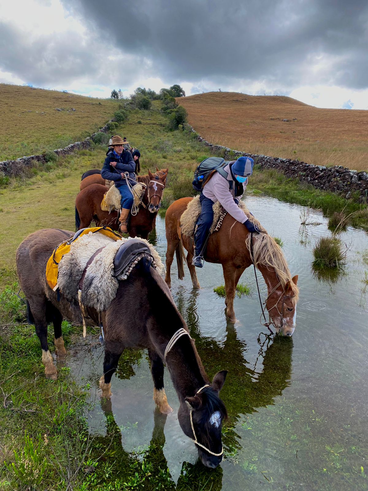 Prefeitura de Lages Turismo: roteiro histórico na Coxilha Rica