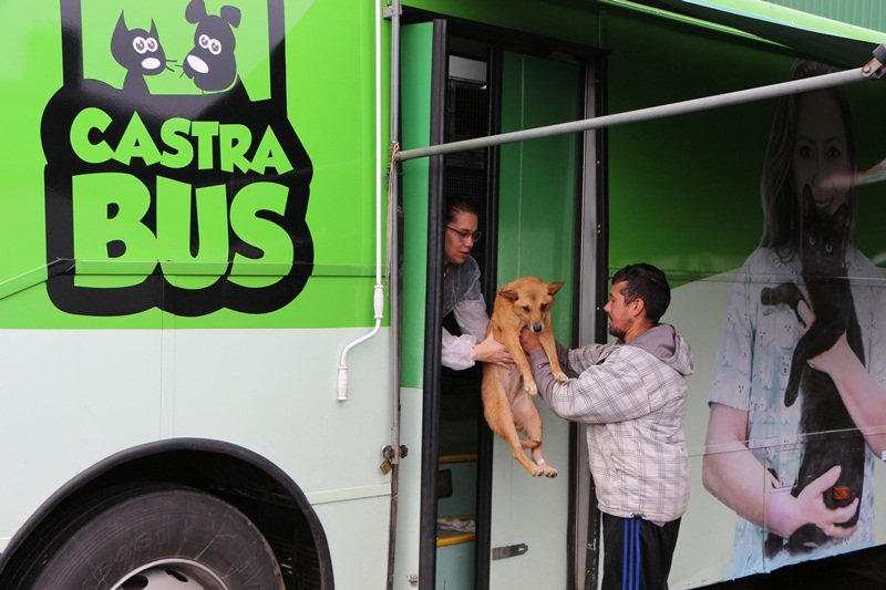 Prefeitura de Lages Prefeitura de Lages realiza mutirão de castração gratuita para cães e gatos