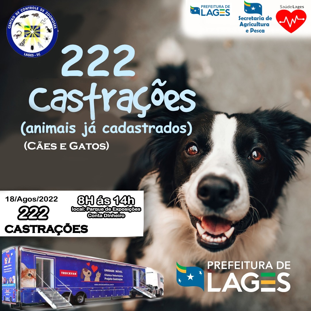 Prefeitura de Lages Prefeitura de Lages realizará mutirão de castração de cães e gatos nesta quinta-feira (18)