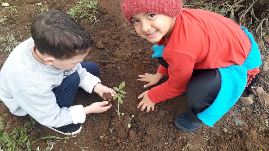 Prefeitura de Lages CEIM Girassol, do bairro Santa Mônica, é destaque em prêmio nacional com projeto de responsabilidade social