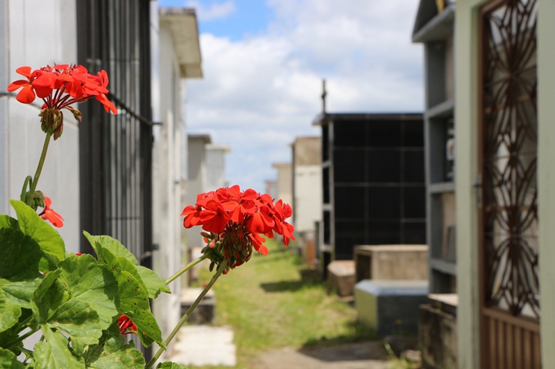 Prefeitura de Lages Responsáveis devem regularizar situação de sepulturas no Cemitério da Penha até o dia 28 de março