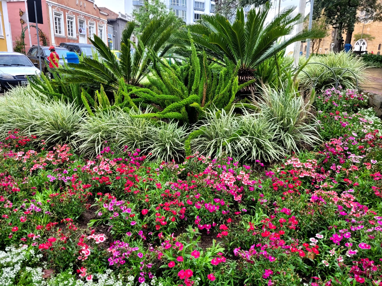 Prefeitura de Lages “Primavera soprando prum caminho mais feliz!” Girassóis e dálias vão invadir os jardins ao ar livre de Lages nesta primavera