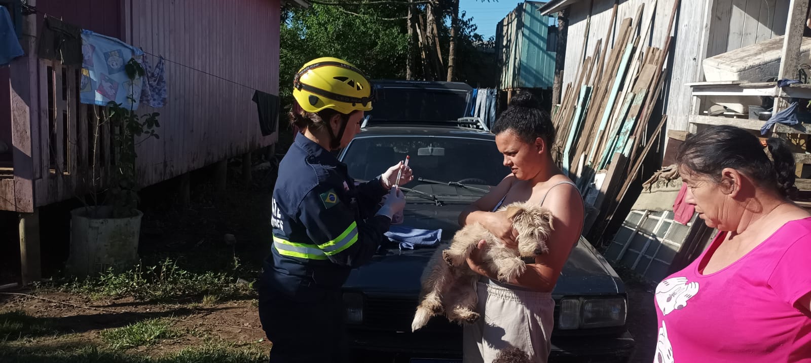 Prefeitura de Lages Mais de 200 animais são resgatados em Lages e outros 500 recebem assistência após alagamentos no final de semana