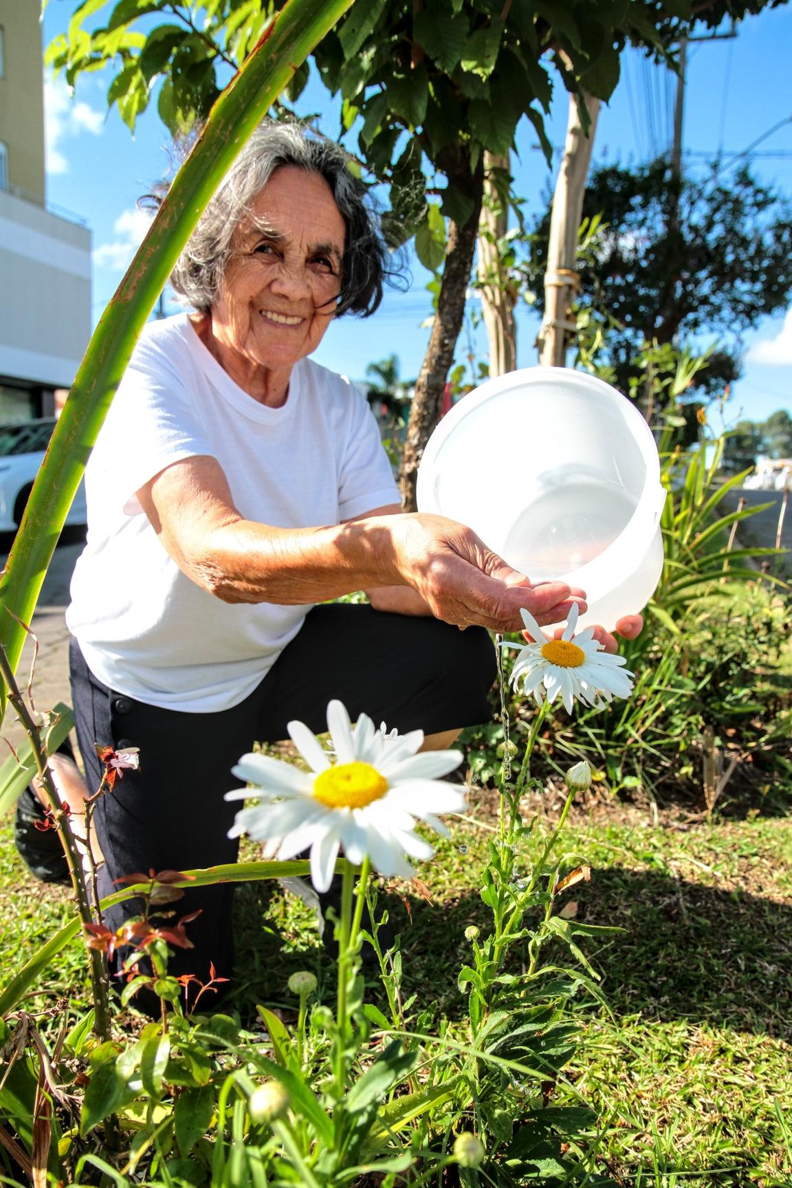 Prefeitura de Lages Você precisa conhecer para ser mais feliz: As plantas coloridas e vibrantes do canteiro central da avenida Brasil e o cheiro inebriante das roscas de coalhada da dona Nair da oficina 