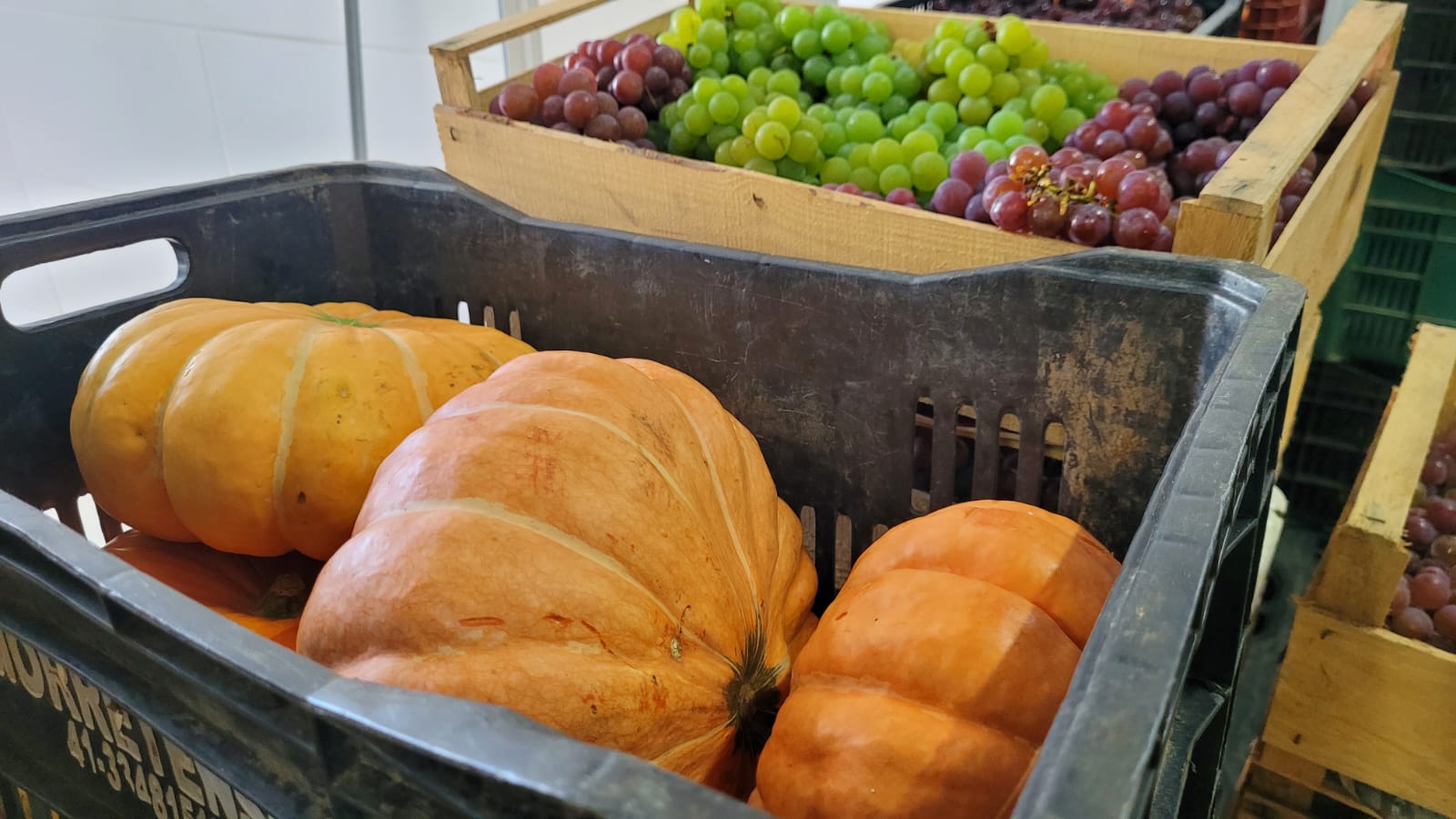 Prefeitura de Lages Prefeitura de Lages garante segurança alimentar e nutricional pelo Banco de Alimentos com serviços de atendimento à população em vulnerabilidade social 