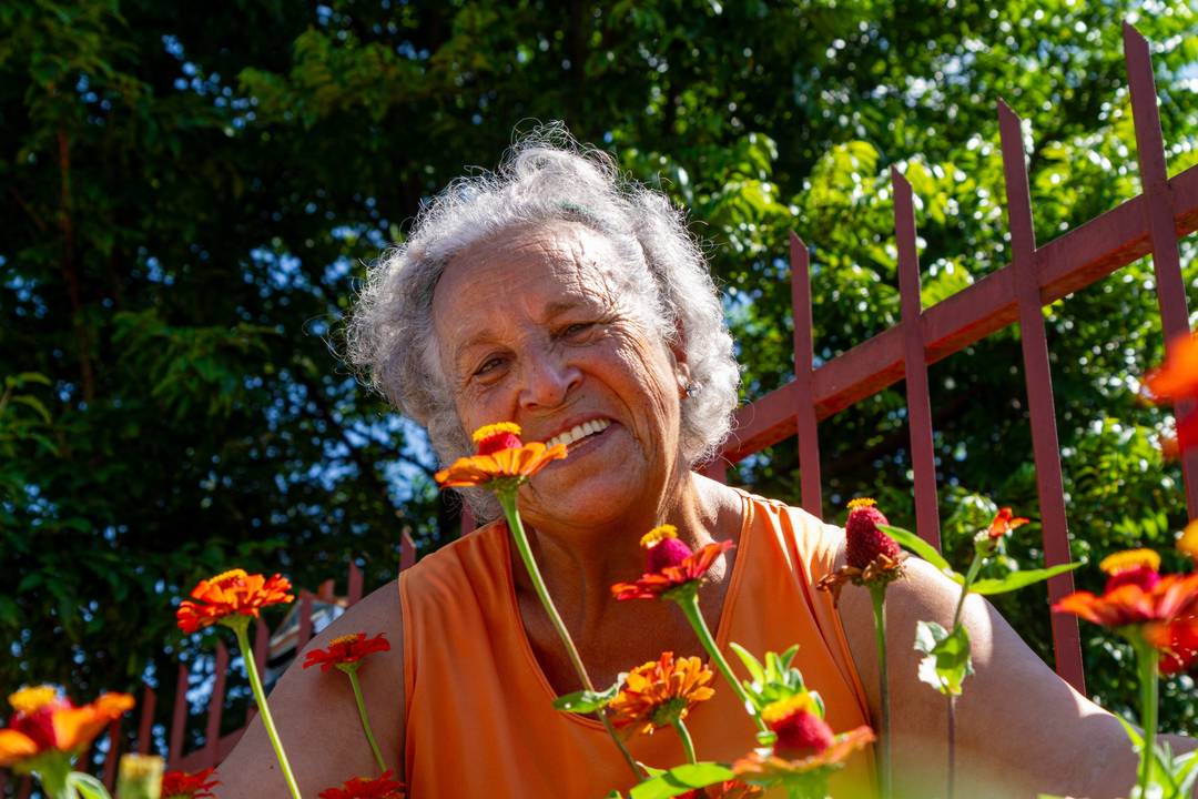 Prefeitura de Lages  A jardineira das emoções: Dona Nair e suas mãos perfumadas pela sutileza das flores cultivadas no seu quintal e à margem da rua onde vive no seu lar