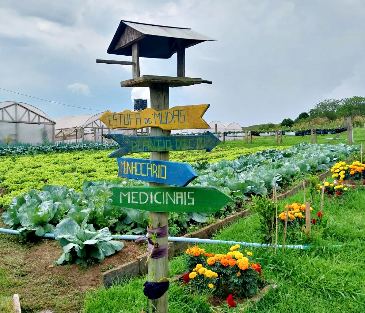 Prefeitura de Lages Produção do Horto Municipal inspira Projeto Cultivar